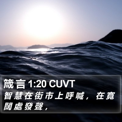 箴 言 1:20 CUVT Bible Verse Image