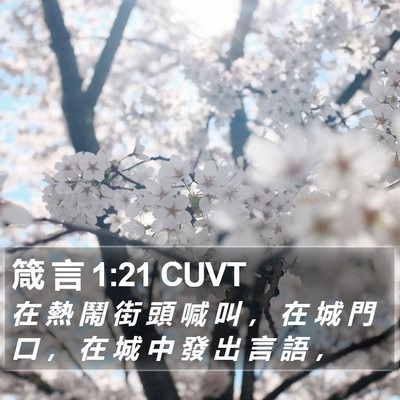 箴 言 1:21 CUVT Bible Verse Image