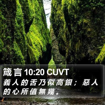 箴 言 10:20 CUVT Bible Verse Image