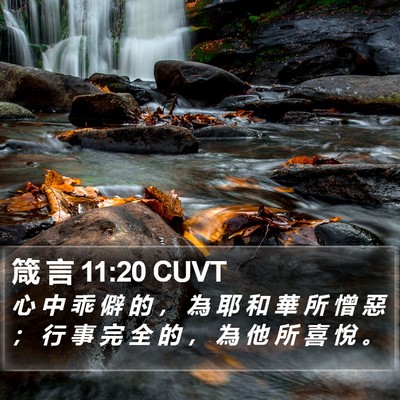 箴 言 11:20 CUVT Bible Verse Image