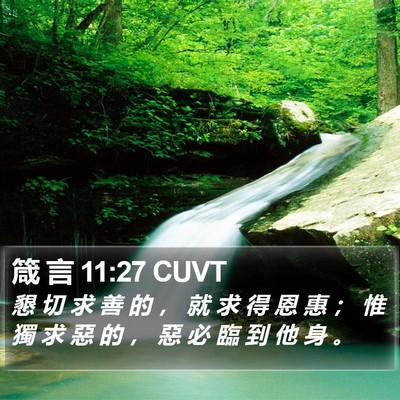 箴 言 11:27 CUVT Bible Verse Image