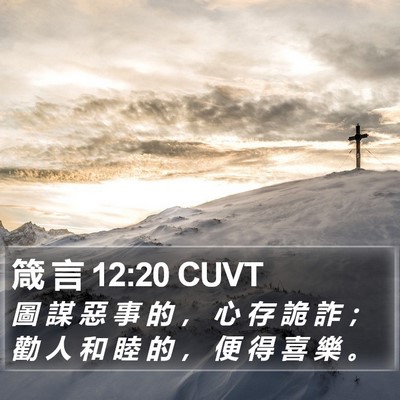 箴 言 12:20 CUVT Bible Verse Image
