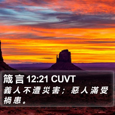 箴 言 12:21 CUVT Bible Verse Image