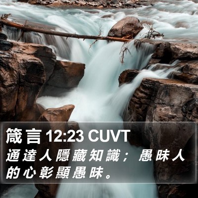 箴 言 12:23 CUVT Bible Verse Image