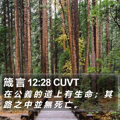 箴 言 12:28 CUVT Bible Verse Image