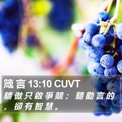 箴 言 13:10 CUVT Bible Verse Image