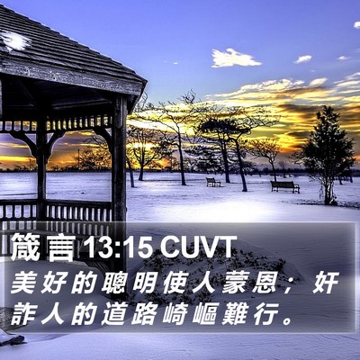 箴 言 13:15 CUVT Bible Verse Image