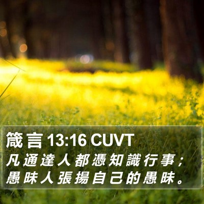 箴 言 13:16 CUVT Bible Verse Image