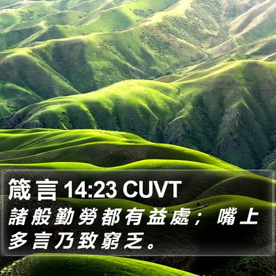 箴 言 14:23 CUVT Bible Verse Image