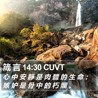 箴 言 14:30 CUVT Bible Verse Image