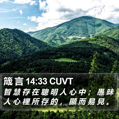 箴 言 14:33 CUVT Bible Verse Image
