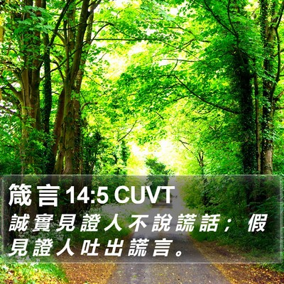 箴 言 14:5 CUVT Bible Verse Image