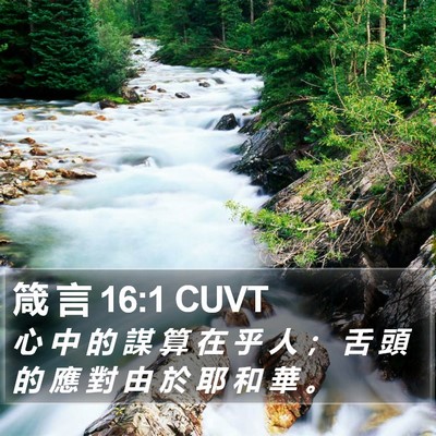 箴 言 16:1 CUVT Bible Verse Image