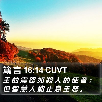箴 言 16:14 CUVT Bible Verse Image