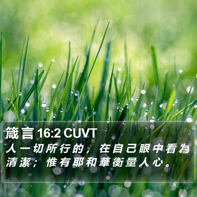 箴 言 16:2 CUVT Bible Verse Image