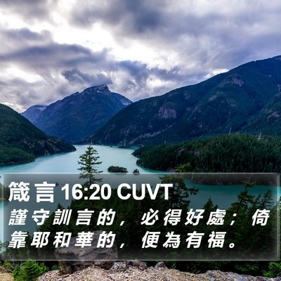 箴 言 16:20 CUVT Bible Verse Image