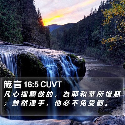 箴 言 16:5 CUVT Bible Verse Image