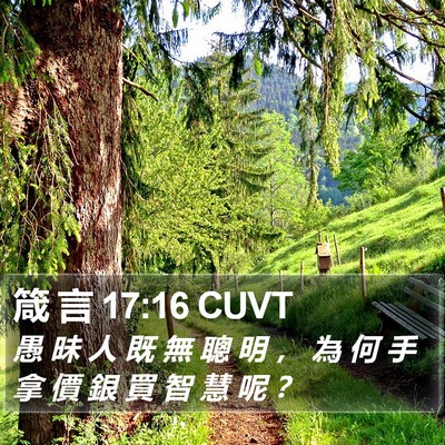 箴 言 17:16 CUVT Bible Verse Image