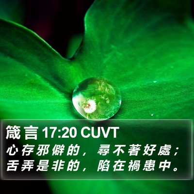 箴 言 17:20 CUVT Bible Verse Image