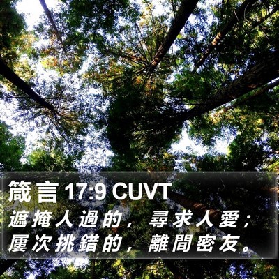 箴 言 17:9 CUVT Bible Verse Image
