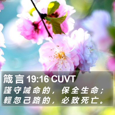 箴 言 19:16 CUVT Bible Verse Image