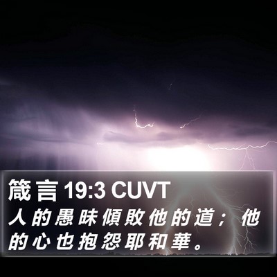 箴 言 19:3 CUVT Bible Verse Image