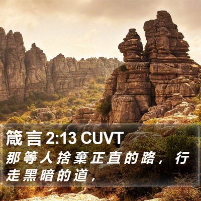 箴 言 2:13 CUVT Bible Verse Image