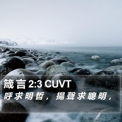 箴 言 2:3 CUVT Bible Verse Image