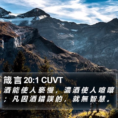 箴 言 20:1 CUVT Bible Verse Image