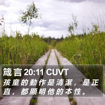 箴 言 20:11 CUVT Bible Verse Image