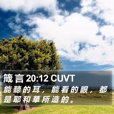 箴 言 20:12 CUVT Bible Verse Image