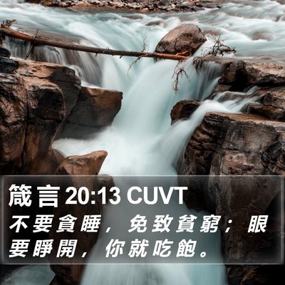 箴 言 20:13 CUVT Bible Verse Image