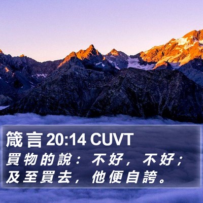 箴 言 20:14 CUVT Bible Verse Image