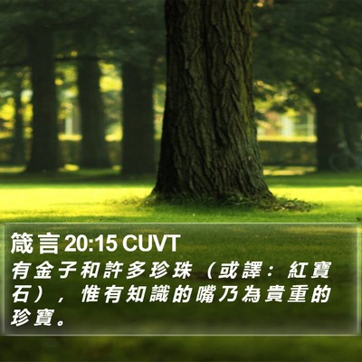 箴 言 20:15 CUVT Bible Verse Image