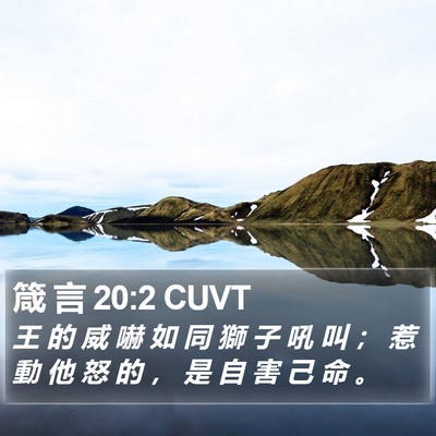 箴 言 20:2 CUVT Bible Verse Image