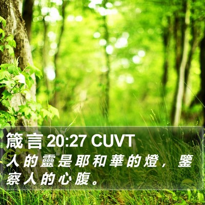 箴 言 20:27 CUVT Bible Verse Image