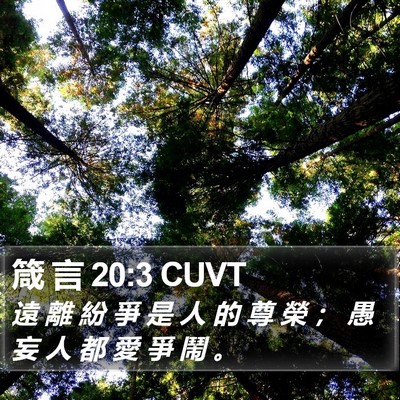 箴 言 20:3 CUVT Bible Verse Image