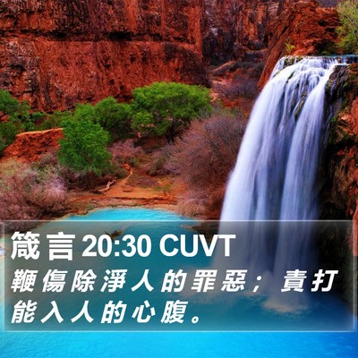 箴 言 20:30 CUVT Bible Verse Image