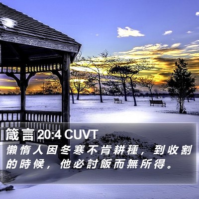 箴 言 20:4 CUVT Bible Verse Image