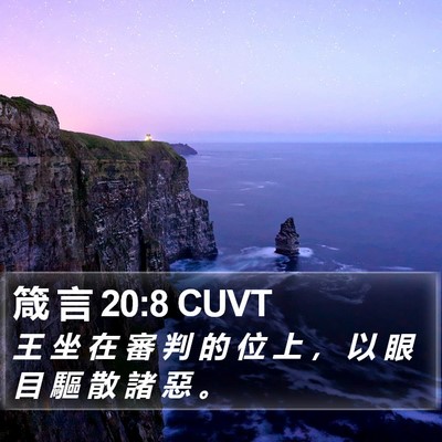 箴 言 20:8 CUVT Bible Verse Image