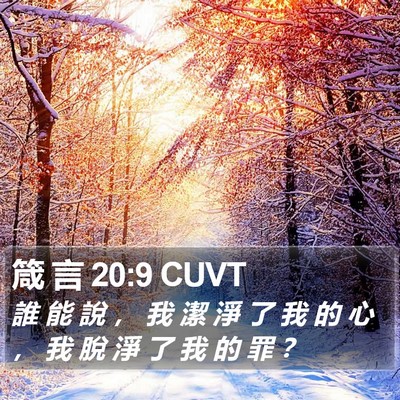 箴 言 20:9 CUVT Bible Verse Image