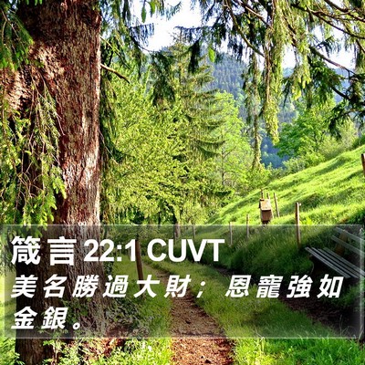 箴 言 22:1 CUVT Bible Verse Image