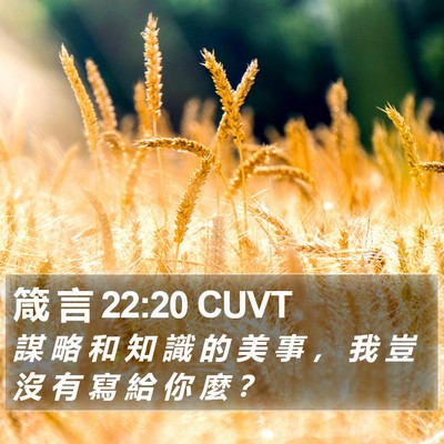 箴 言 22:20 CUVT Bible Verse Image