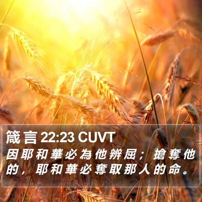 箴 言 22:23 CUVT Bible Verse Image