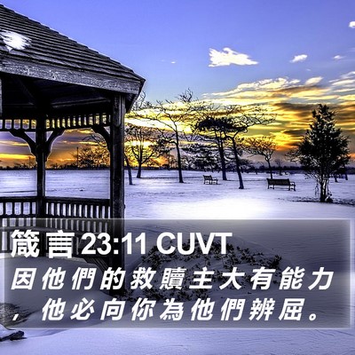 箴 言 23:11 CUVT Bible Verse Image