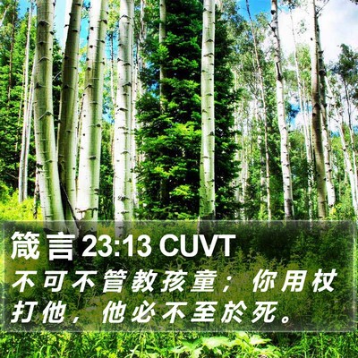 箴 言 23:13 CUVT Bible Verse Image