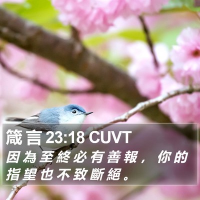 箴 言 23:18 CUVT Bible Verse Image