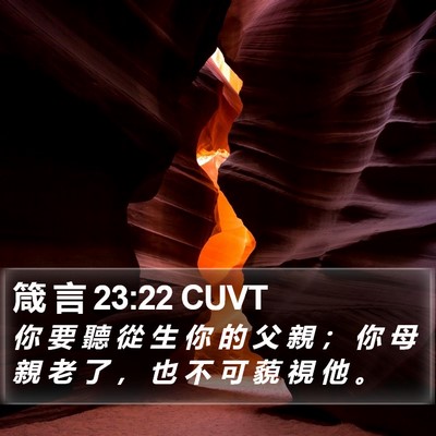 箴 言 23:22 CUVT Bible Verse Image