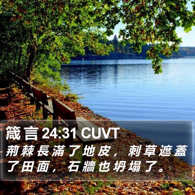 箴 言 24:31 CUVT Bible Verse Image