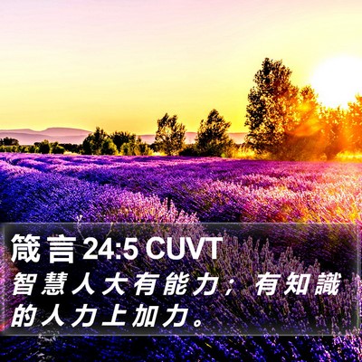 箴 言 24:5 CUVT Bible Verse Image